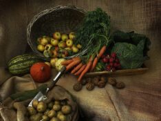 vegetables, ingredients, harvest, healthy, composition, organic, nutrition, vegetables, vegetables, vegetables, vegetables, vegetables, harvest, nutrition, nutrition, nutrition, nutrition